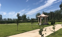 天福园公墓环境实拍159861068841780