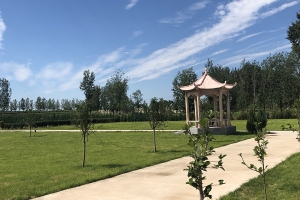 天福园公墓景观图片