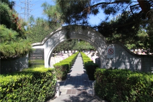墓区2