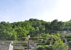 九公山陵园环境实拍