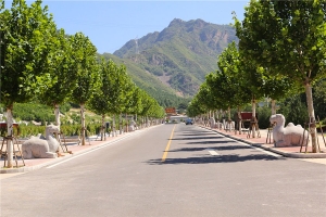 盘龙台公墓景观图片