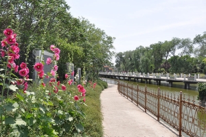 静安墓园景观图片