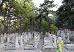 金山陵园环境图