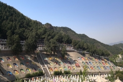 盘龙台公墓环境图
