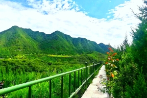 十三陵景仰园陵园景观图片