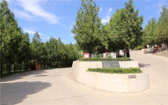 龙泉公墓环境实拍155728275759726