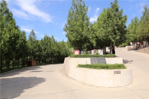 龙泉公墓景观图片