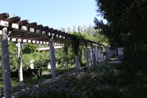 北京福田公墓官网：温馨安葬服务的便捷选择